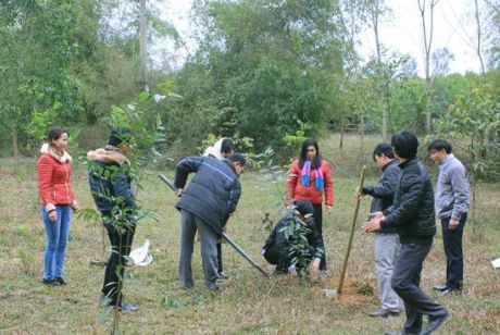 PHÁT ĐỘNG TRỒNG CÂY NHÂN DỊP ĐẦU XUÂN GIÁP NGỌ